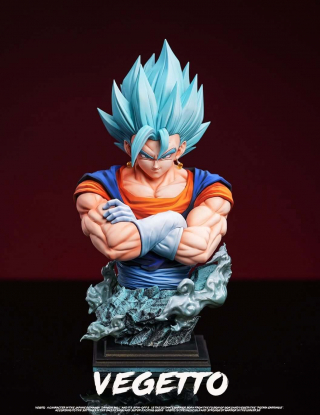 Mô hình FER Studio - Vegito