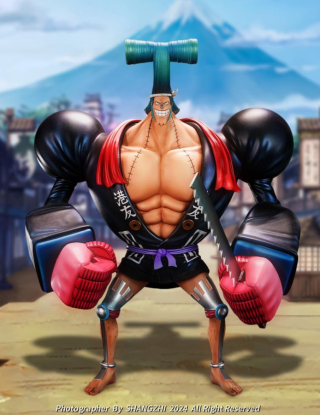 Mô hình Nee Century x 天蝎社 Studio - Wano Franky 