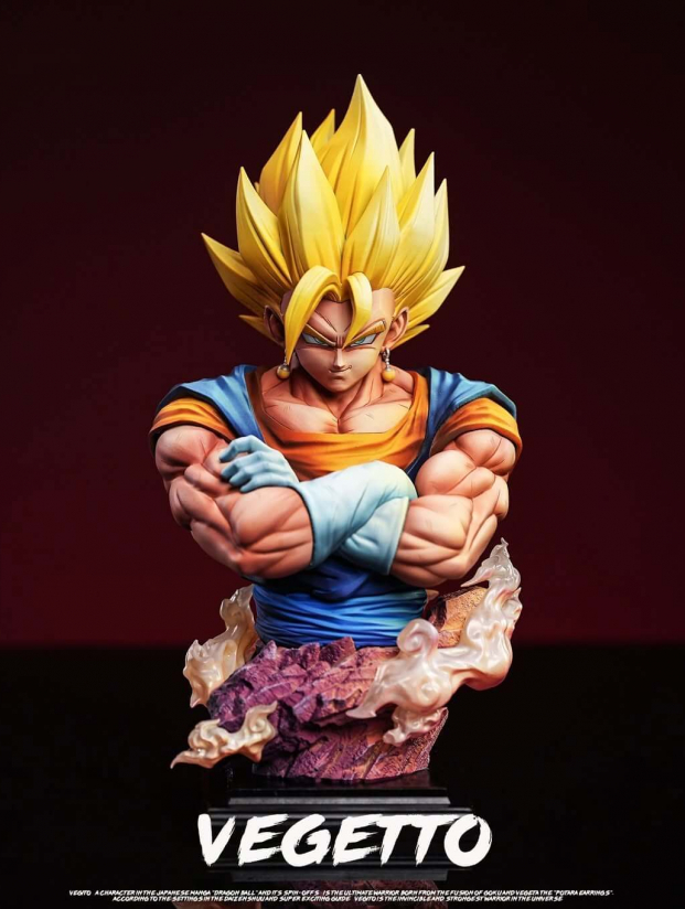 Mô hình FER Studio - Vegito